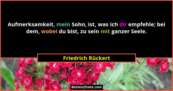 Aufmerksamkeit, mein Sohn, ist, was ich dir empfehle; bei dem, wobei du bist, zu sein mit ganzer Seele.... - Friedrich Rückert
