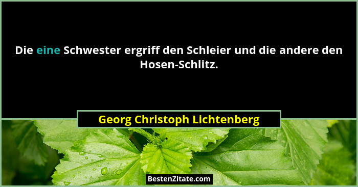 Die eine Schwester ergriff den Schleier und die andere den Hosen-Schlitz.... - Georg Christoph Lichtenberg