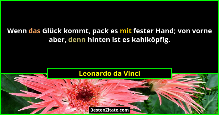 Wenn das Glück kommt, pack es mit fester Hand; von vorne aber, denn hinten ist es kahlköpfig.... - Leonardo da Vinci