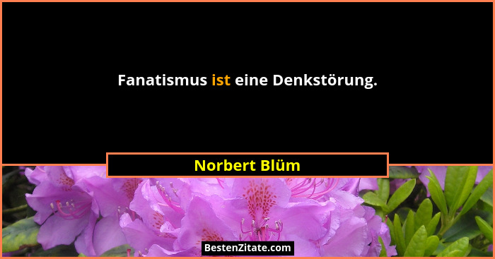 Fanatismus ist eine Denkstörung.... - Norbert Blüm