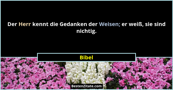 Der Herr kennt die Gedanken der Weisen; er weiß, sie sind nichtig.... - Bibel