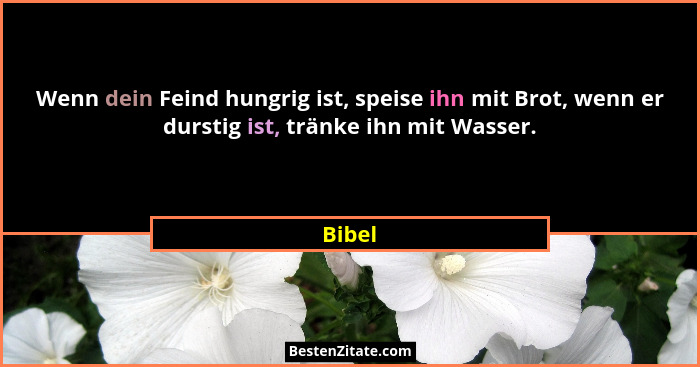 Wenn dein Feind hungrig ist, speise ihn mit Brot, wenn er durstig ist, tränke ihn mit Wasser.... - Bibel