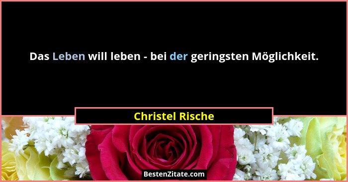 Das Leben will leben - bei der geringsten Möglichkeit.... - Christel Rische