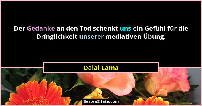 Der Gedanke an den Tod schenkt uns ein Gefühl für die Drínglichkeit unserer mediativen Übung.... - Dalai Lama