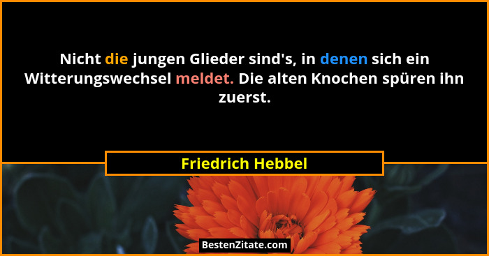 Nicht die jungen Glieder sind's, in denen sich ein Witterungswechsel meldet. Die alten Knochen spüren ihn zuerst.... - Friedrich Hebbel