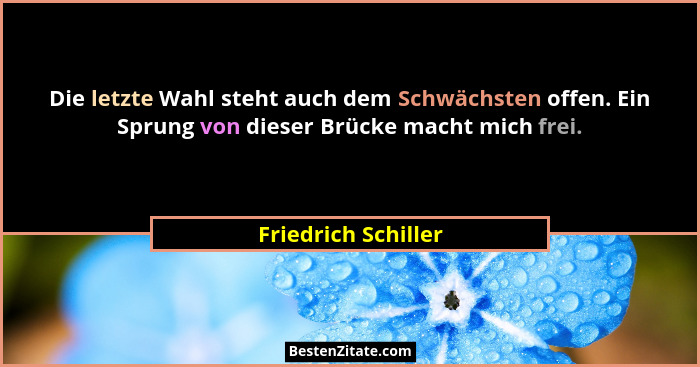 Die letzte Wahl steht auch dem Schwächsten offen. Ein Sprung von dieser Brücke macht mich frei.... - Friedrich Schiller