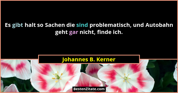 Es gibt halt so Sachen die sind problematisch, und Autobahn geht gar nicht, finde ich.... - Johannes B. Kerner