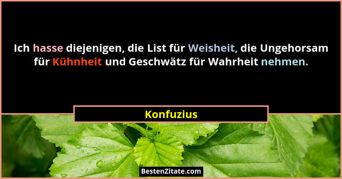 Ich hasse diejenigen, die List für Weisheit, die Ungehorsam für Kühnheit und Geschwätz für Wahrheit nehmen.... - Konfuzius