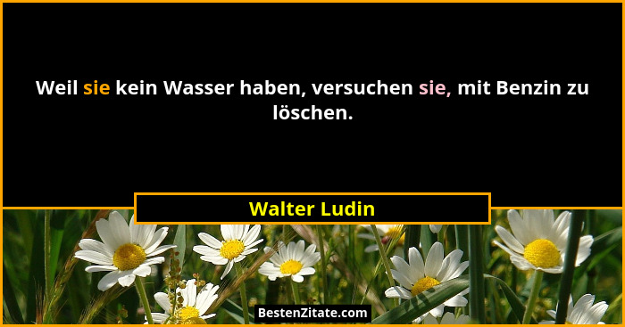 Weil sie kein Wasser haben, versuchen sie, mit Benzin zu löschen.... - Walter Ludin