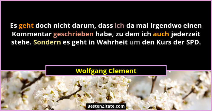 Es geht doch nicht darum, dass ich da mal irgendwo einen Kommentar geschrieben habe, zu dem ich auch jederzeit stehe. Sondern es ge... - Wolfgang Clement
