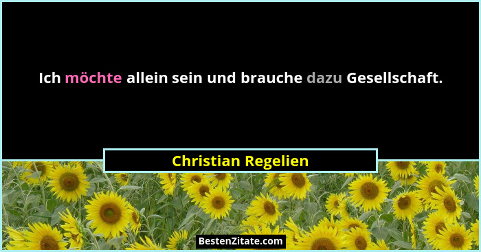 Ich möchte allein sein und brauche dazu Gesellschaft.... - Christian Regelien
