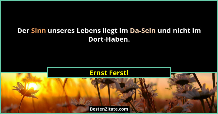Der Sinn unseres Lebens liegt im Da-Sein und nicht im Dort-Haben.... - Ernst Ferstl