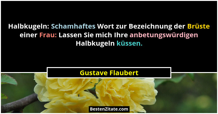 Halbkugeln: Schamhaftes Wort zur Bezeichnung der Brüste einer Frau: Lassen Sie mich Ihre anbetungswürdigen Halbkugeln küssen.... - Gustave Flaubert
