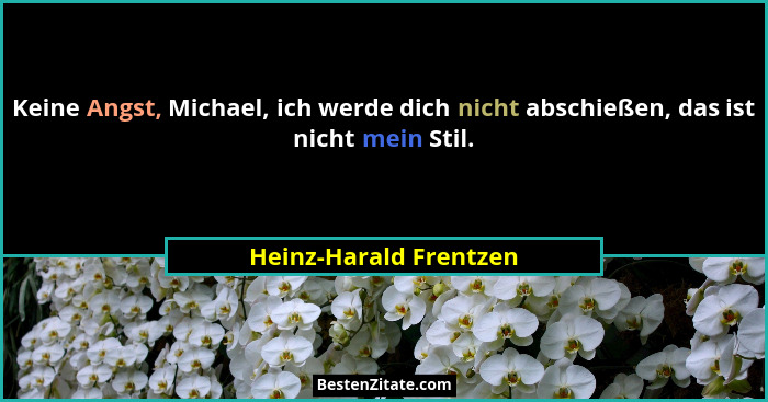 Keine Angst, Michael, ich werde dich nicht abschießen, das ist nicht mein Stil.... - Heinz-Harald Frentzen