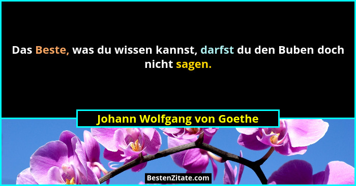 Das Beste, was du wissen kannst, darfst du den Buben doch nicht sagen.... - Johann Wolfgang von Goethe