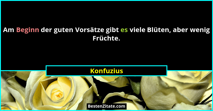 Am Beginn der guten Vorsätze gibt es viele Blüten, aber wenig Früchte.... - Konfuzius