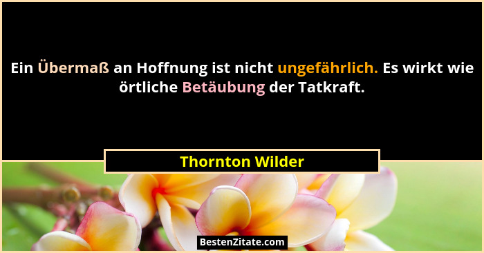 Ein Übermaß an Hoffnung ist nicht ungefährlich. Es wirkt wie örtliche Betäubung der Tatkraft.... - Thornton Wilder
