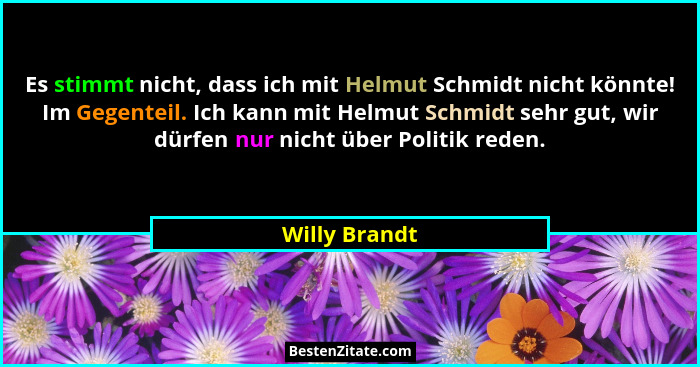 Es stimmt nicht, dass ich mit Helmut Schmidt nicht könnte! Im Gegenteil. Ich kann mit Helmut Schmidt sehr gut, wir dürfen nur nicht übe... - Willy Brandt