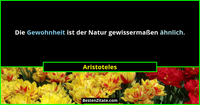Die Gewohnheit ist der Natur gewissermaßen ähnlich.... - Aristoteles