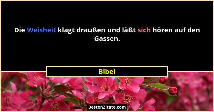Die Weisheit klagt draußen und läßt sich hören auf den Gassen.... - Bibel