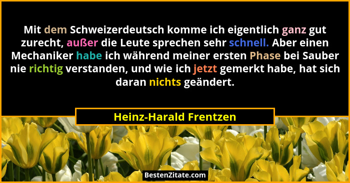 Mit dem Schweizerdeutsch komme ich eigentlich ganz gut zurecht, außer die Leute sprechen sehr schnell. Aber einen Mechaniker h... - Heinz-Harald Frentzen