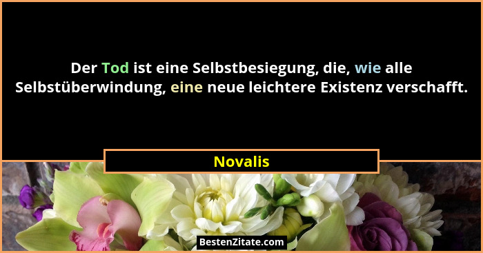 Der Tod ist eine Selbstbesiegung, die, wie alle Selbstüberwindung, eine neue leichtere Existenz verschafft.... - Novalis