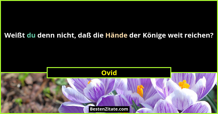Weißt du denn nicht, daß die Hände der Könige weit reichen?... - Ovid