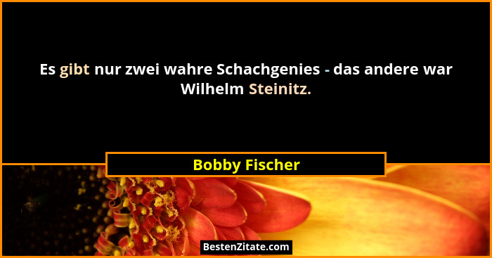 Es gibt nur zwei wahre Schachgenies - das andere war Wilhelm Steinitz.... - Bobby Fischer