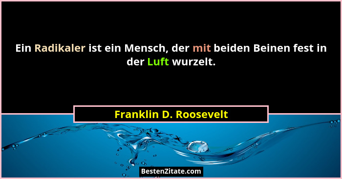 Ein Radikaler ist ein Mensch, der mit beiden Beinen fest in der Luft wurzelt.... - Franklin D. Roosevelt