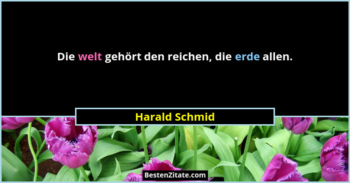 Die welt gehört den reichen, die erde allen.... - Harald Schmid