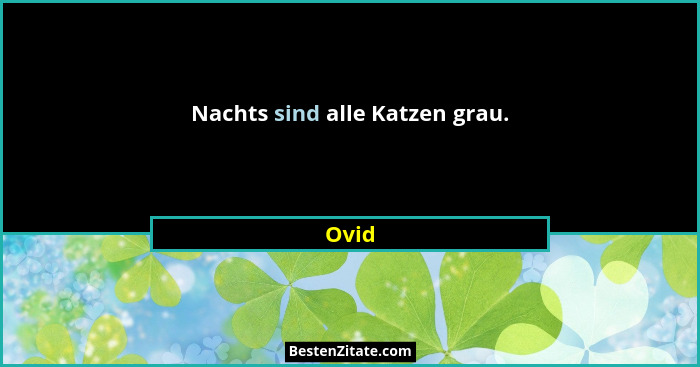 Nachts sind alle Katzen grau.... - Ovid