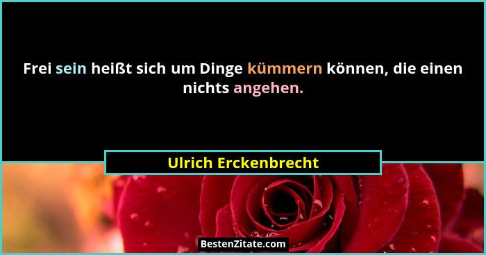 Frei sein heißt sich um Dinge kümmern können, die einen nichts angehen.... - Ulrich Erckenbrecht