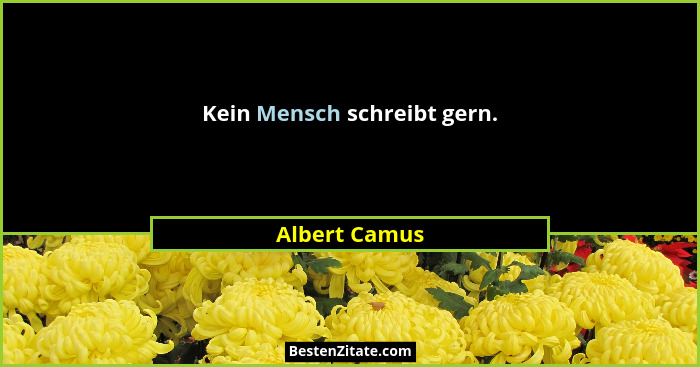 Kein Mensch schreibt gern.... - Albert Camus