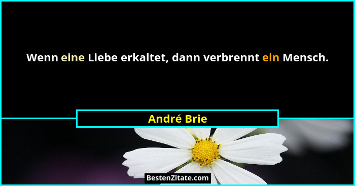 Wenn eine Liebe erkaltet, dann verbrennt ein Mensch.... - André Brie