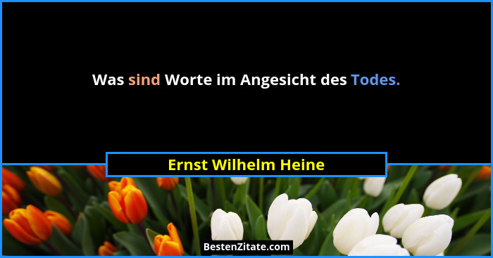 Was sind Worte im Angesicht des Todes.... - Ernst Wilhelm Heine