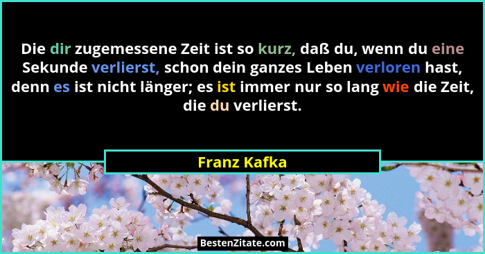 Die dir zugemessene Zeit ist so kurz, daß du, wenn du eine Sekunde verlierst, schon dein ganzes Leben verloren hast, denn es ist nicht l... - Franz Kafka