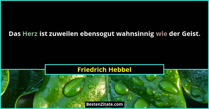 Das Herz ist zuweilen ebensogut wahnsinnig wie der Geist.... - Friedrich Hebbel
