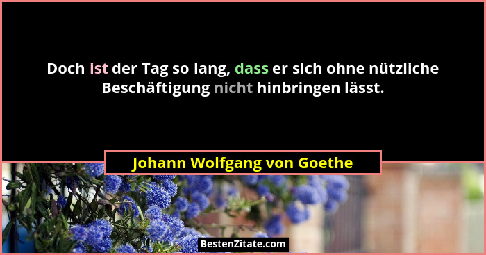 Doch ist der Tag so lang, dass er sich ohne nützliche Beschäftigung nicht hinbringen lässt.... - Johann Wolfgang von Goethe
