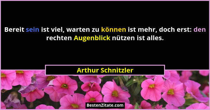 Bereit sein ist viel, warten zu können ist mehr, doch erst: den rechten Augenblick nützen ist alles.... - Arthur Schnitzler