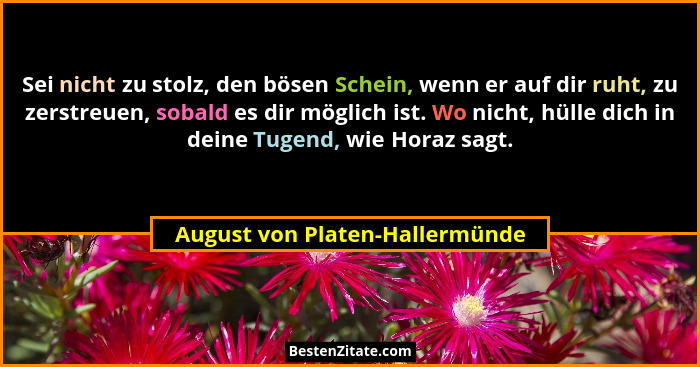 Sei nicht zu stolz, den bösen Schein, wenn er auf dir ruht, zu zerstreuen, sobald es dir möglich ist. Wo nicht, hülle... - August von Platen-Hallermünde