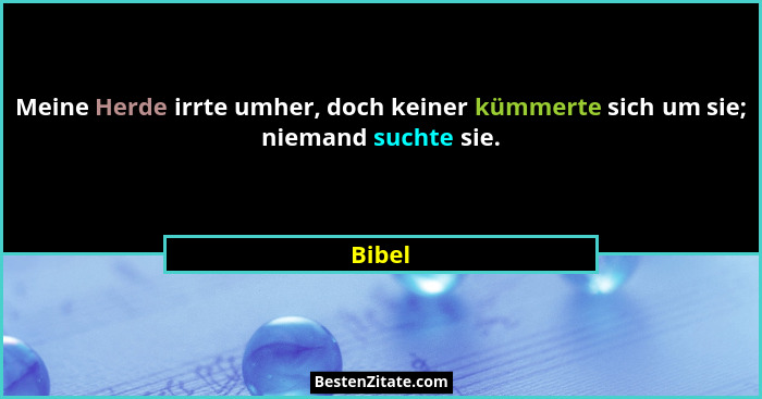 Meine Herde irrte umher, doch keiner kümmerte sich um sie; niemand suchte sie.... - Bibel