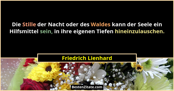 Die Stille der Nacht oder des Waldes kann der Seele ein Hilfsmittel sein, in ihre eigenen Tiefen hineinzulauschen.... - Friedrich Lienhard