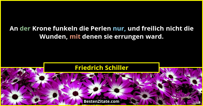 An der Krone funkeln die Perlen nur, und freilich nicht die Wunden, mit denen sie errungen ward.... - Friedrich Schiller