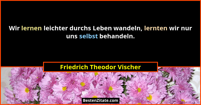 Wir lernen leichter durchs Leben wandeln, lernten wir nur uns selbst behandeln.... - Friedrich Theodor Vischer