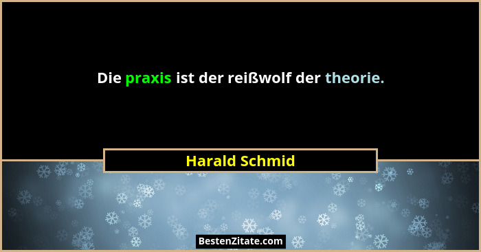 Die praxis ist der reißwolf der theorie.... - Harald Schmid