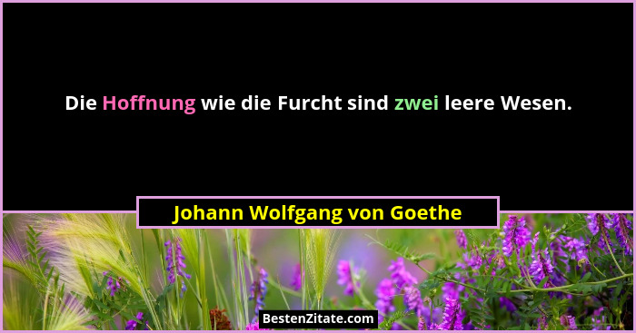 Die Hoffnung wie die Furcht sind zwei leere Wesen.... - Johann Wolfgang von Goethe
