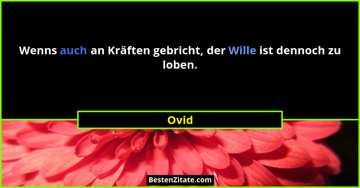 Wenns auch an Kräften gebricht, der Wille ist dennoch zu loben.... - Ovid