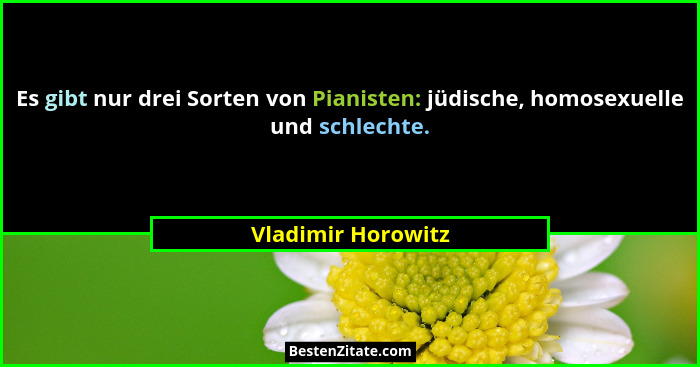 Es gibt nur drei Sorten von Pianisten: jüdische, homosexuelle und schlechte.... - Vladimir Horowitz