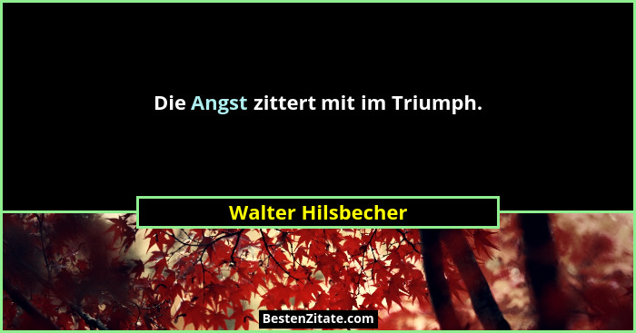 Die Angst zittert mit im Triumph.... - Walter Hilsbecher