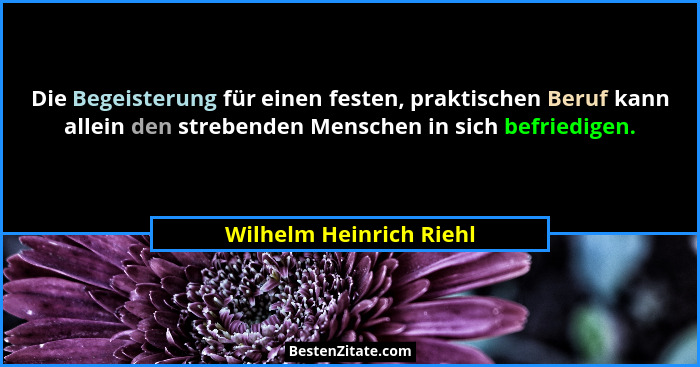 Die Begeisterung für einen festen, praktischen Beruf kann allein den strebenden Menschen in sich befriedigen.... - Wilhelm Heinrich Riehl